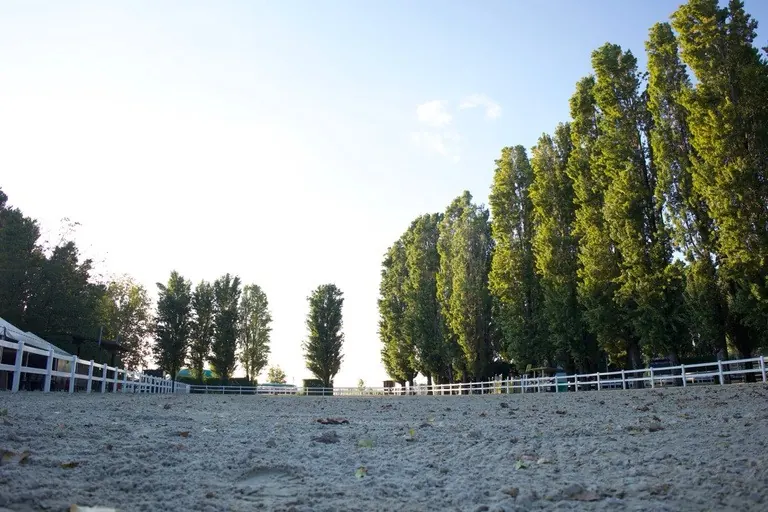 Pietro
