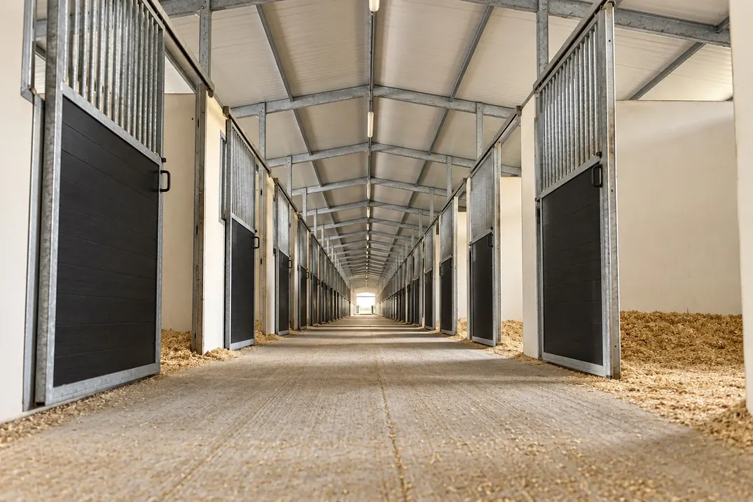500+ posti cavallo