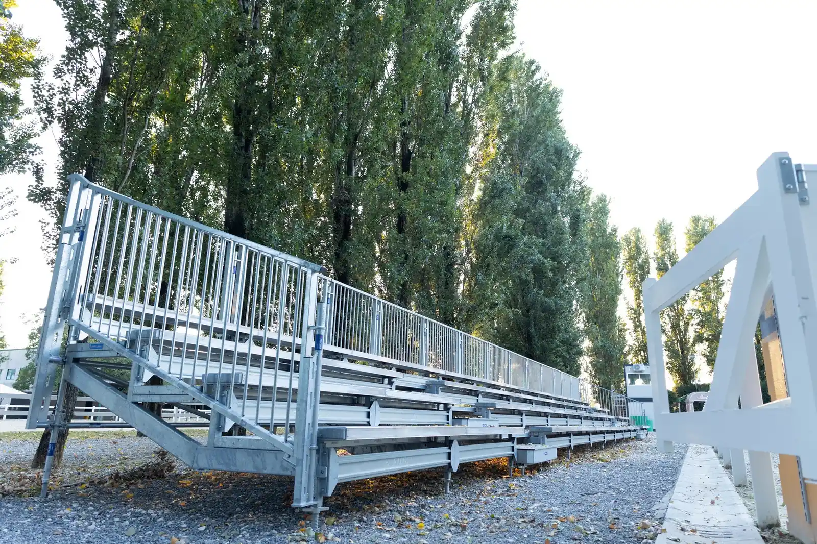 Seguire le attività