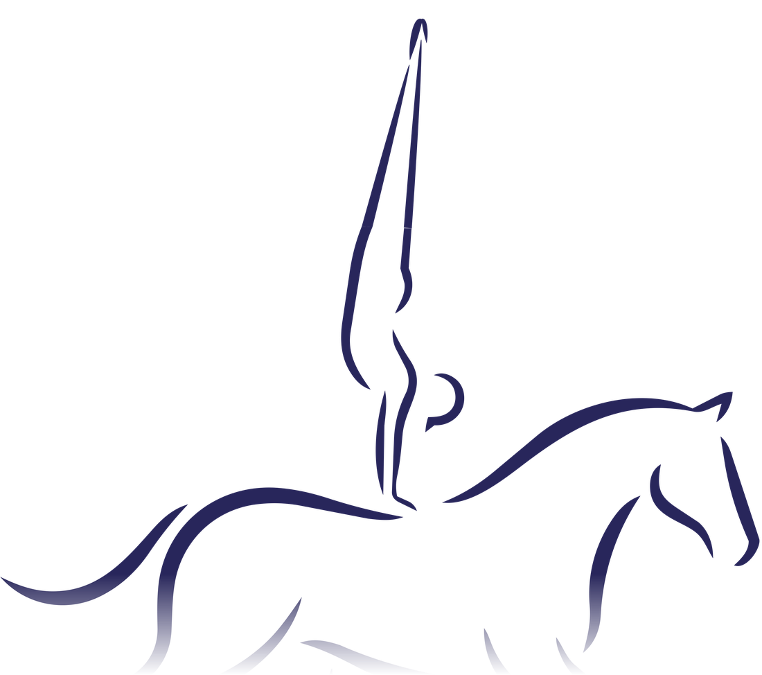 Vaulter performing on horseback
